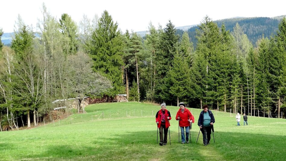 Theme path Franz Höller circular route, Waisenegg - Touren-Impression #2.6 | © Karl Zodl