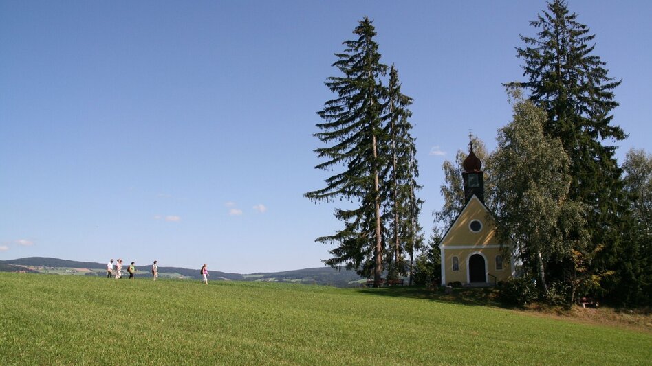 Hiking route Hoadholz - circular hiking trail, Waisenegg - Touren-Impression #2.3 | © Karl Zodl