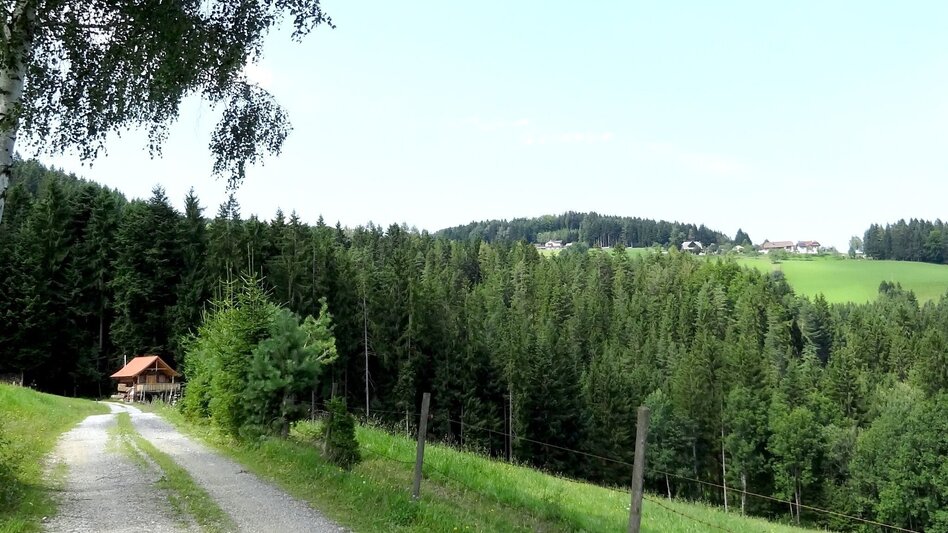 Hiking route Hoadholz - circular hiking trail, Waisenegg - Touren-Impression #2.2 | © Karl Zodl