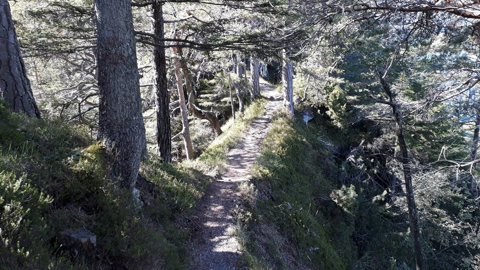 Trail Running Freienstein Trail (No. 7) - Touren-Impression #2.3 | © TVB Haus-Aich-Gössenberg