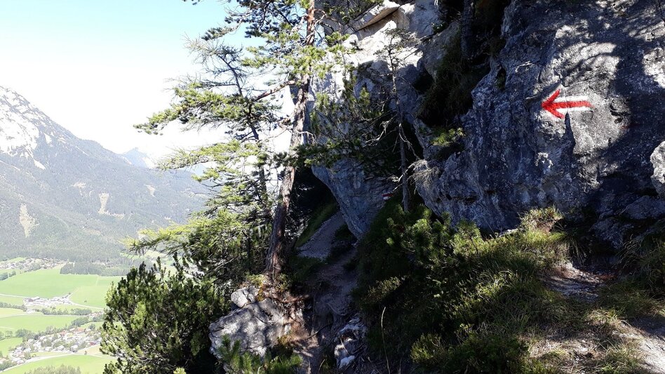 Trail Running Freienstein Trail (No. 7) - Touren-Impression #2.4 | © TVB Haus-Aich-Gössenberg