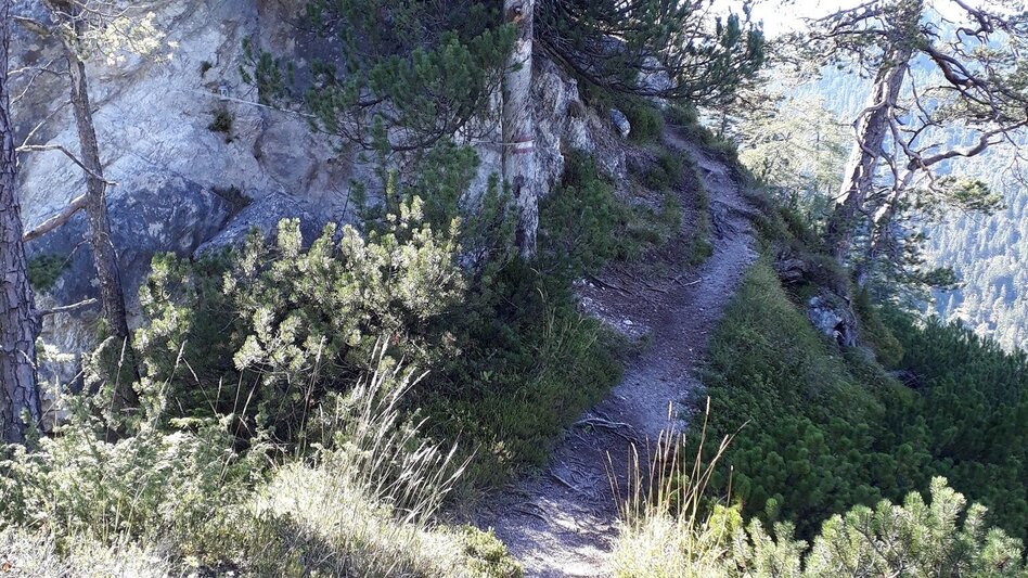 Trail Running Freienstein Trail (No. 7) - Touren-Impression #2.5 | © TVB Haus-Aich-Gössenberg