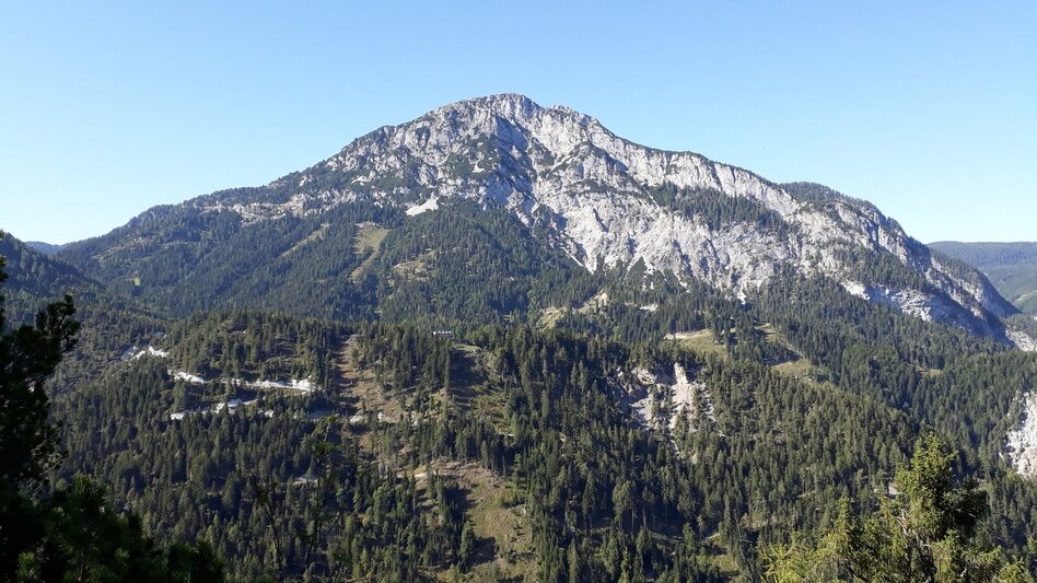 Trail Running Freienstein Trail (No. 7) - Touren-Impression #2.7 | © TVB Haus-Aich-Gössenberg