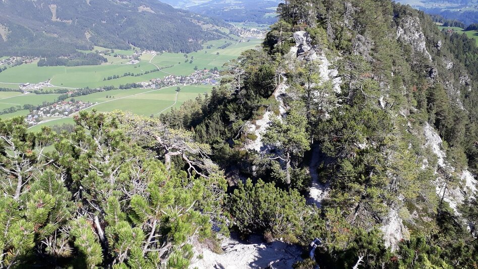 Trail Running Freienstein Trail (No. 7) - Touren-Impression #2.8 | © TVB Haus-Aich-Gössenberg
