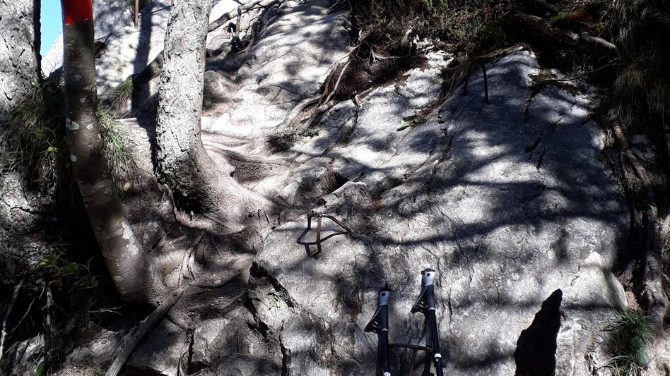 Trail Running Freienstein Trail (No. 7) - Touren-Impression #2.10 | © TVB Haus-Aich-Gössenberg