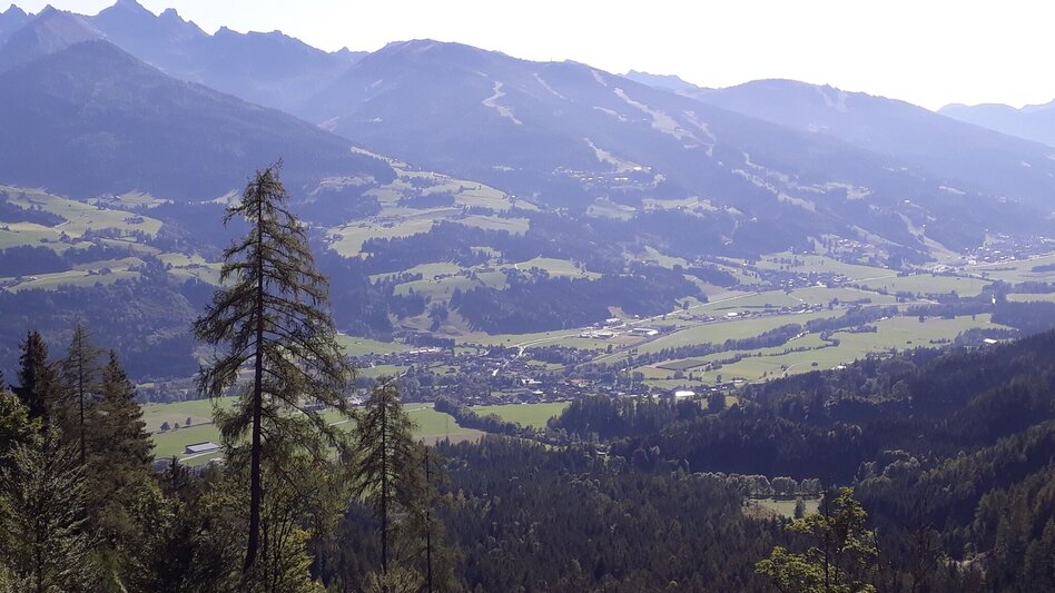 Trail Running Freienstein Trail (No. 7) - Touren-Impression #2.12 | © Erlebnisregion Schladming-Dachstein