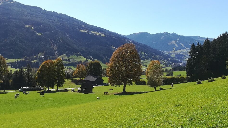 Trailrunning Kneippanlagen Trail (Nr. 2) - Touren-Impression #2.2 | © TVB Haus-Aich-Gössenberg