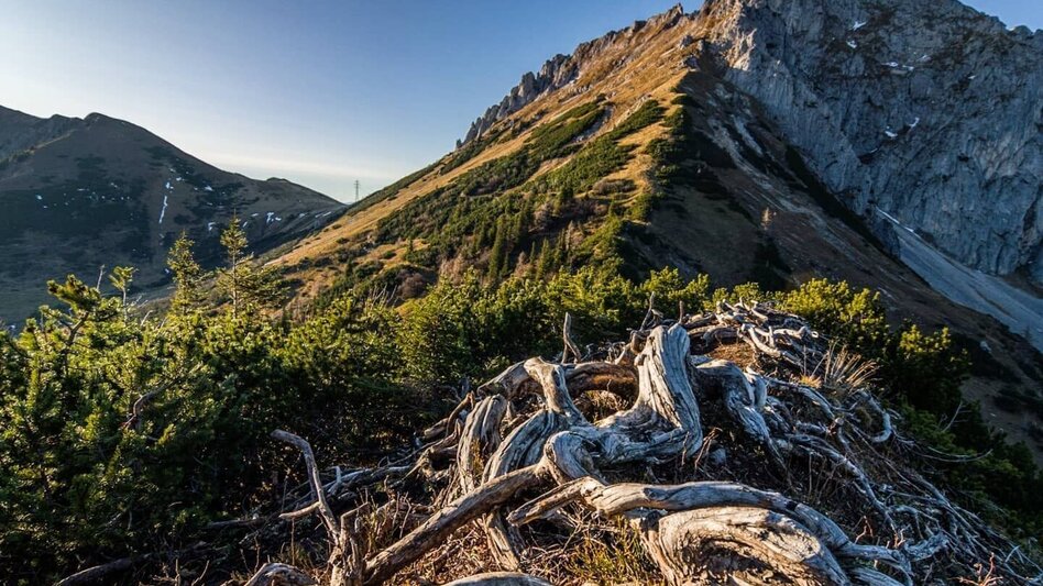 Mountain Hike Leobner Mauer - Touren-Impression #2.5 | © Tourismusverband ERZBERG LEOBEN