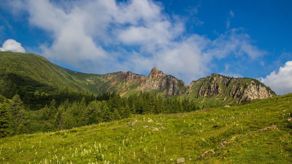 Mountain Hike Leobner Mauer - Touren-Impression #2.12 | © Tourismusverband ERZBERG LEOBEN