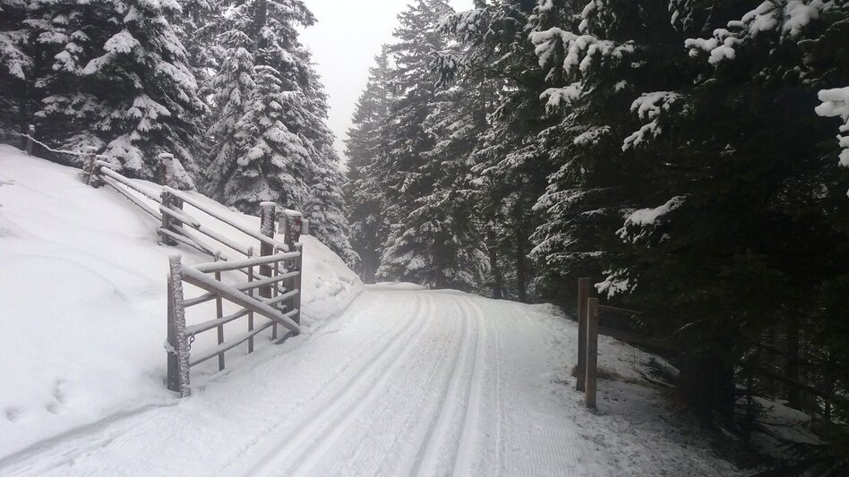 Schneeschuh Großeben-Runde mit Mariengruß - Touren-Impression #2.2 | © Region Graz