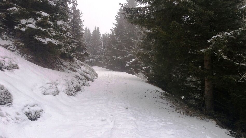 Schneeschuh Großeben-Runde mit Mariengruß - Touren-Impression #2.5 | © Region Graz