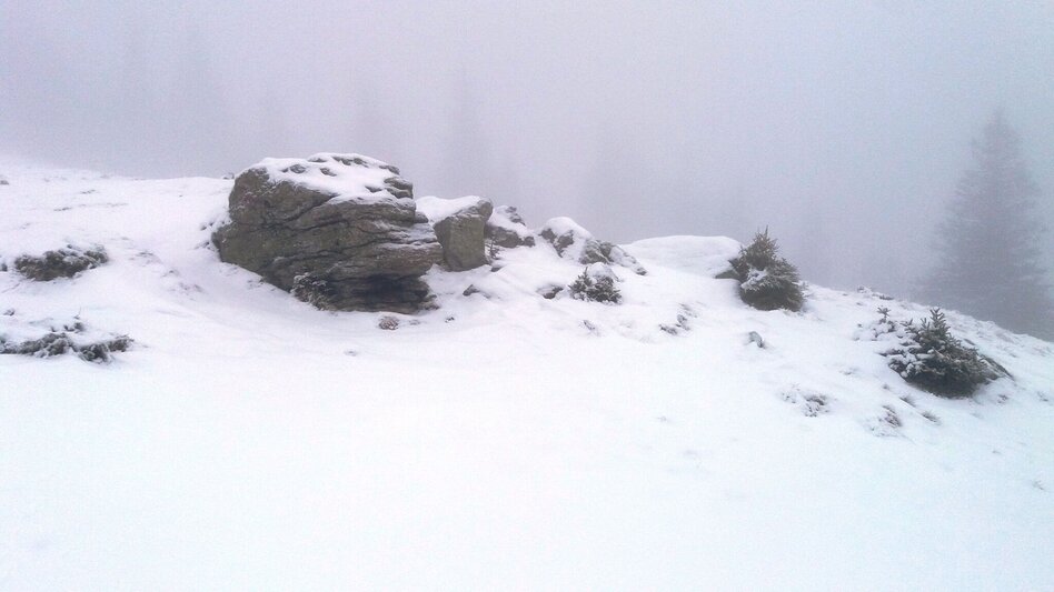 Schneeschuh Großeben-Runde mit Mariengruß - Touren-Impression #2.8 | © Region Graz