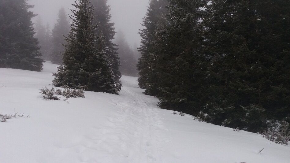 Schneeschuh Großeben-Runde mit Mariengruß - Touren-Impression #2.9 | © Region Graz
