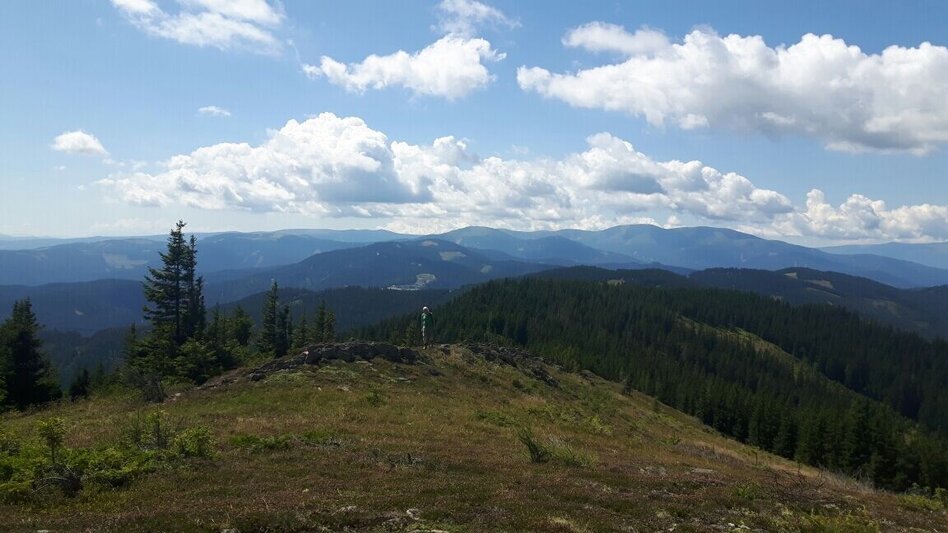 Wanderung Rundwanderung auf der Terenbachalm - Touren-Impression #2.1 | © Community