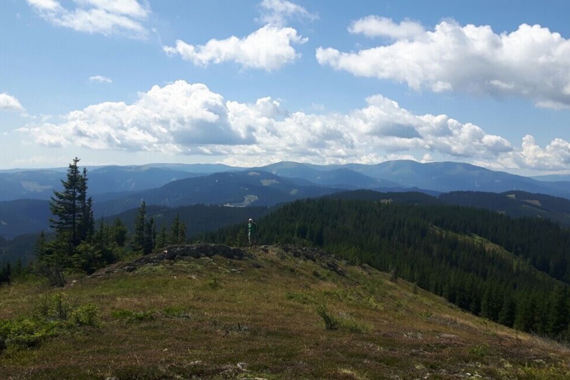 Wanderung Rundwanderung auf der Terenbachalm - Touren-Impression #1 | © Community