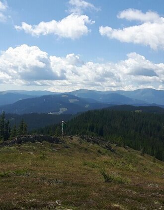 Auf der Terenbachalm | Helga Sammer | © Community