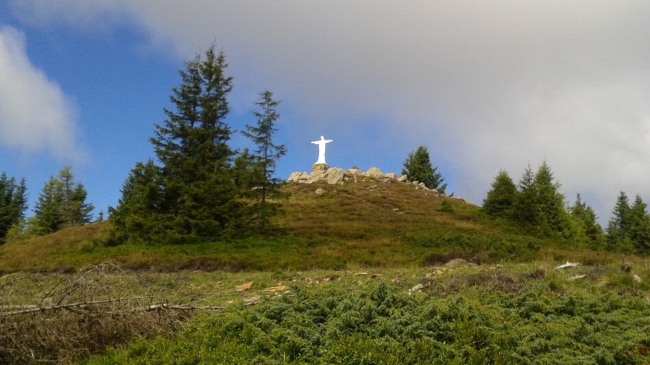 Wanderung Rundwanderung auf der Terenbachalm - Touren-Impression #2.5 | © Region Graz