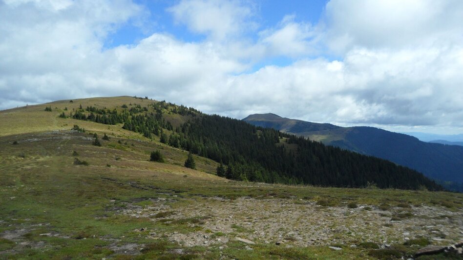 Wanderung Rundwanderung auf der Terenbachalm - Touren-Impression #2.8 | © Region Graz