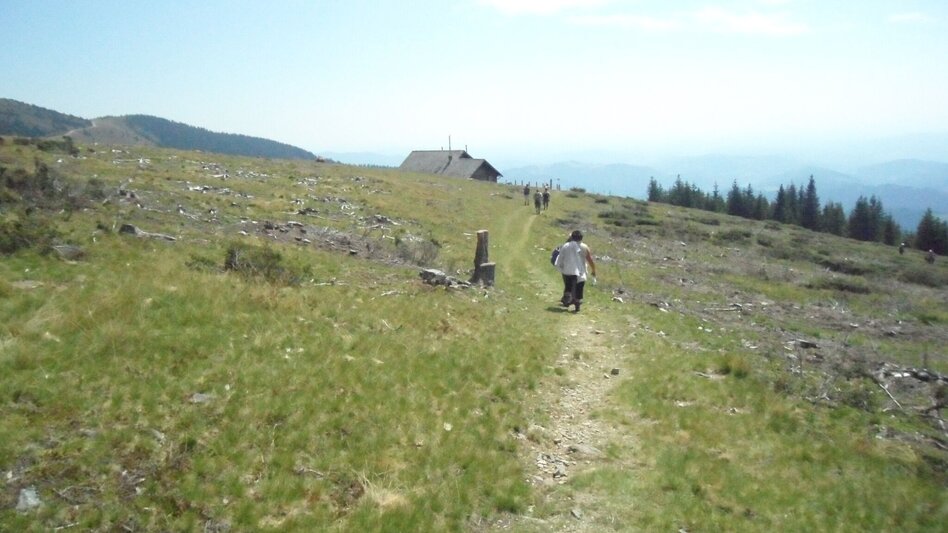 Wanderung Rundwanderung auf der Terenbachalm - Touren-Impression #2.9 | © Region Graz