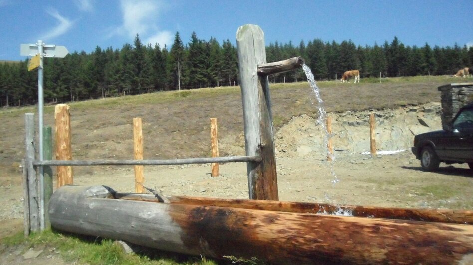 Wanderung Rundwanderung auf der Terenbachalm - Touren-Impression #2.10 | © Region Graz