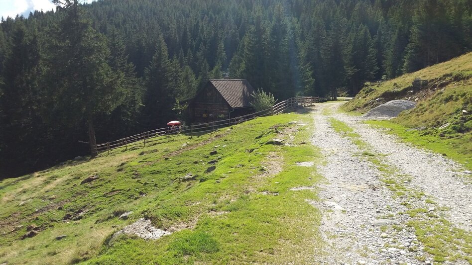 Wanderung Rundwanderung auf der Terenbachalm - Touren-Impression #2.12 | © Region Graz