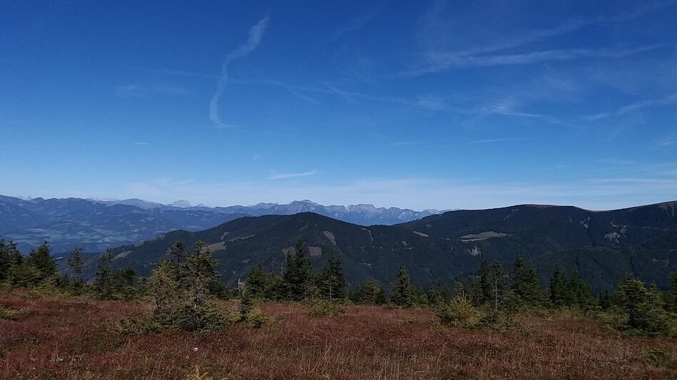Wanderung Rundwanderung auf der Terenbachalm - Touren-Impression #2.13 | © Region Graz