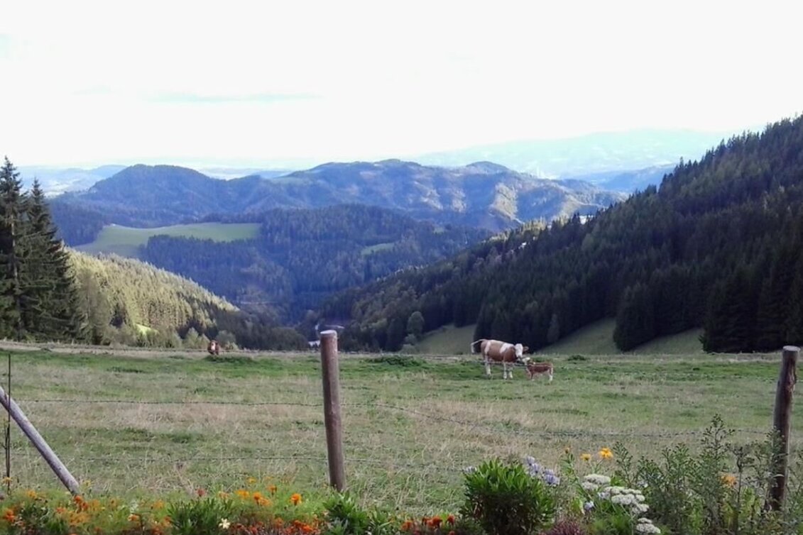 Wanderung Kapitel Runde - Touren-Impression #1 | © Region Graz