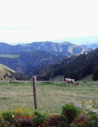 Gasthaus_Kapitel_Ausblick | Erika Ulz | © Region Graz