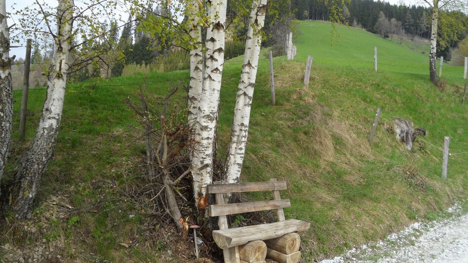 Wanderung Heiligen Wasser Weg - Touren-Impression #2.5 | © Region Graz