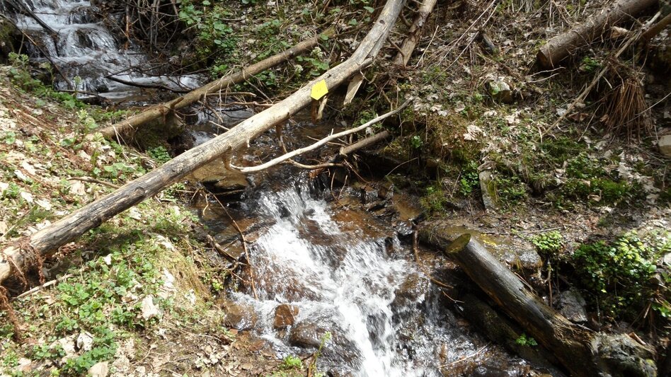 Wanderung Heiligen Wasser Weg - Touren-Impression #2.12 | © Region Graz