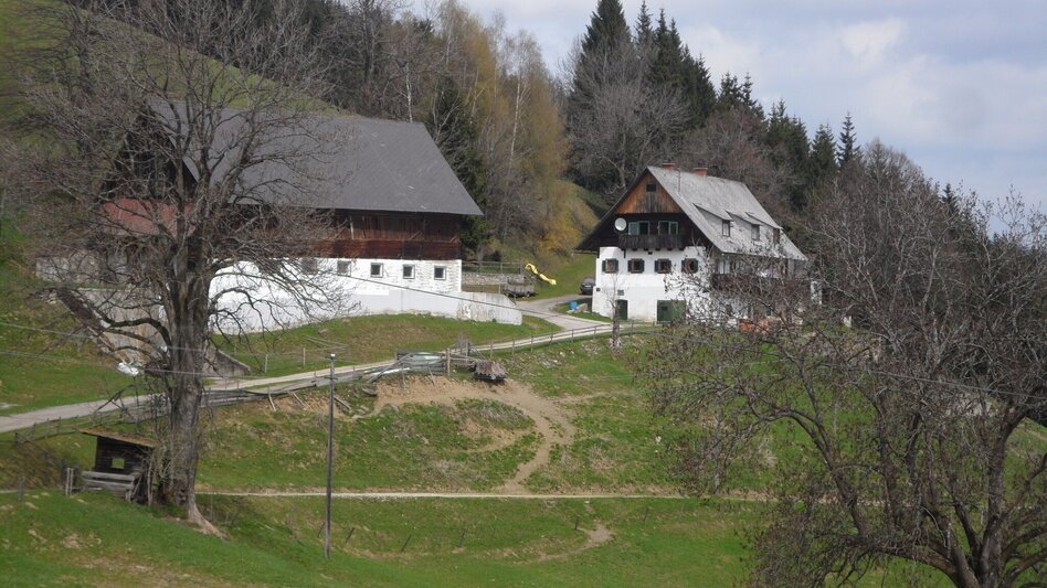 Wanderung Heiligen Wasser Weg - Touren-Impression #2.14 | © Region Graz