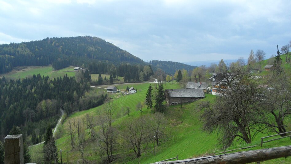 Wanderung Heiligen Wasser Weg - Touren-Impression #2.16 | © Region Graz