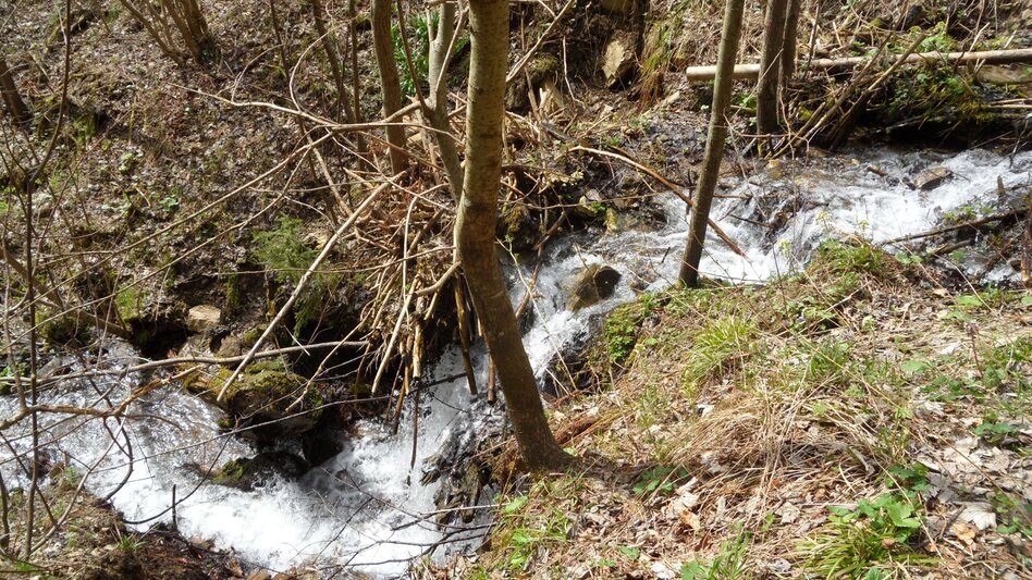 Wanderung Heiligen Wasser Weg - Touren-Impression #2.17 | © Region Graz