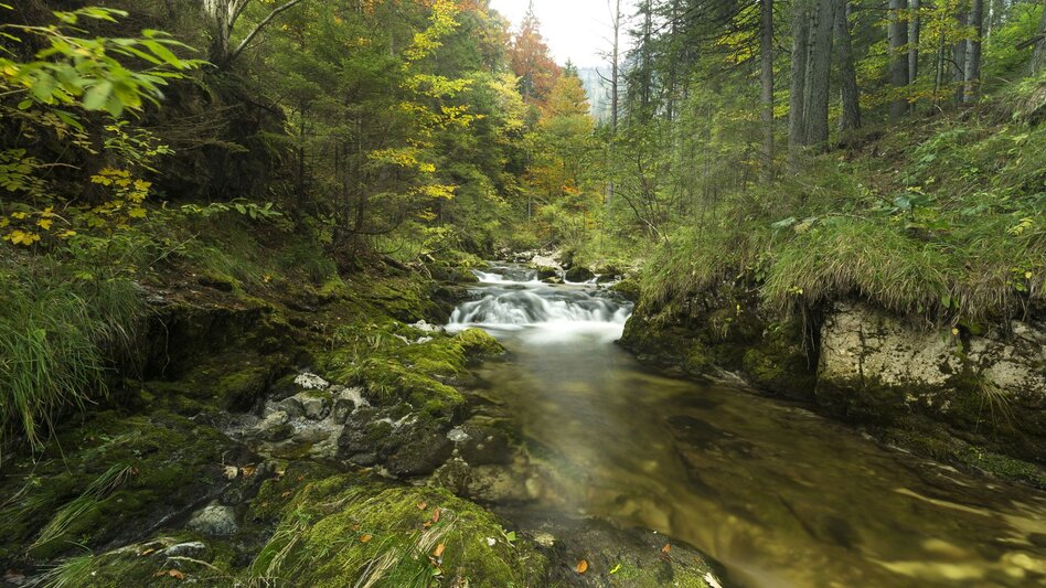 Kinderwagenmeilen Tirol-Rundwanderweg im Naturpark Mürzer Oberland - Touren-Impression #2.1 | © Naturpark Mürzer Oberland