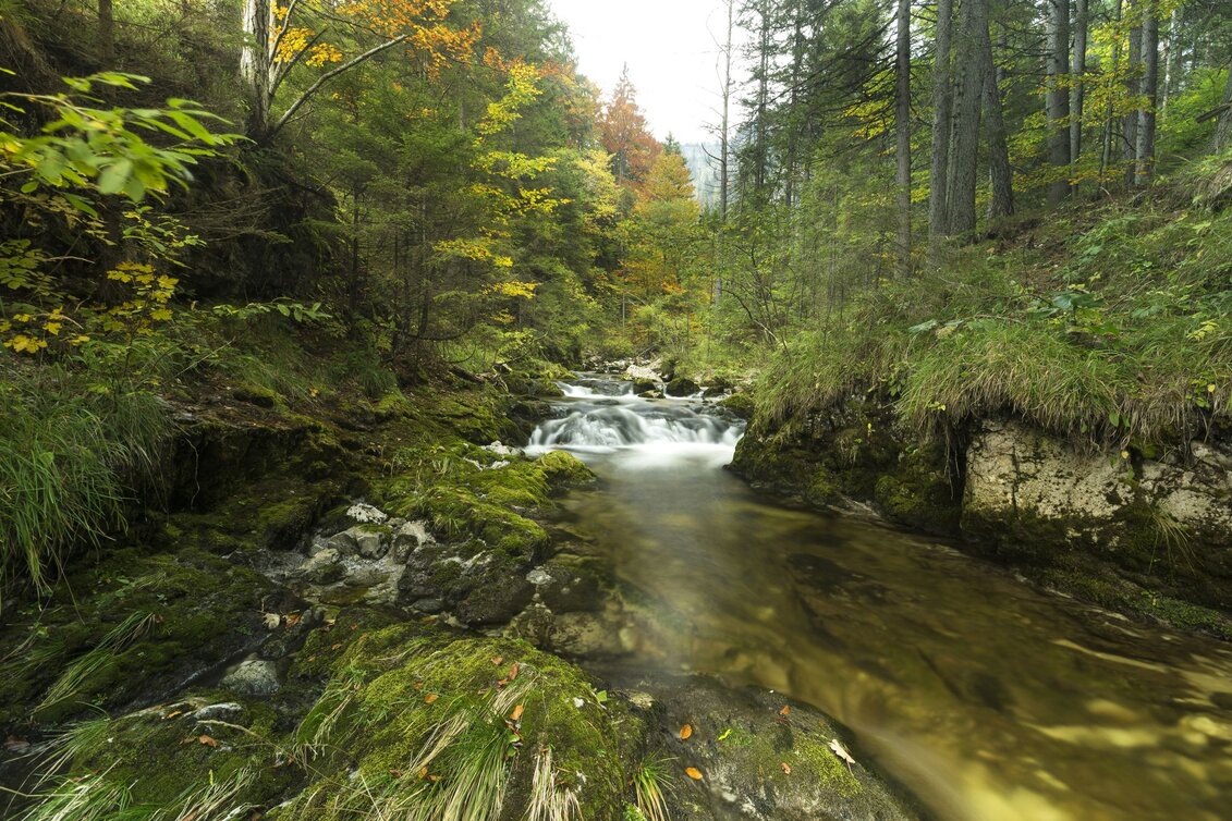 Kinderwagenmeilen Tirol-Rundwanderweg im Naturpark Mürzer Oberland - Touren-Impression #1 | © Naturpark Mürzer Oberland