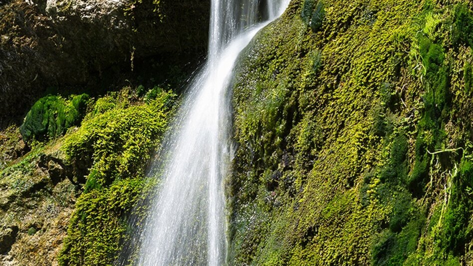Kinderwagenmeilen Tirol-Rundwanderweg im Naturpark Mürzer Oberland - Touren-Impression #2.4 | © Naturpark Mürzer Oberland