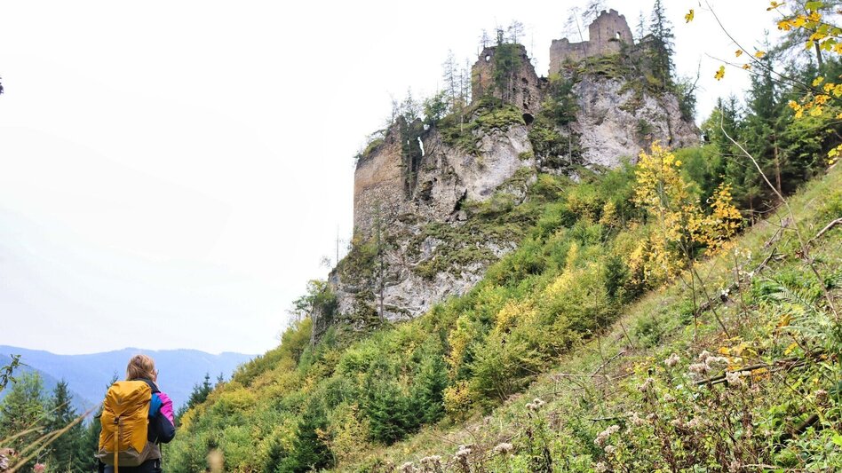 Hiking route Rittersteig - Touren-Impression #2.5 | © Weges OG