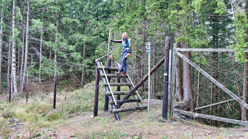 Hiking route Rittersteig - Touren-Impression #2.12 | © Weges OG