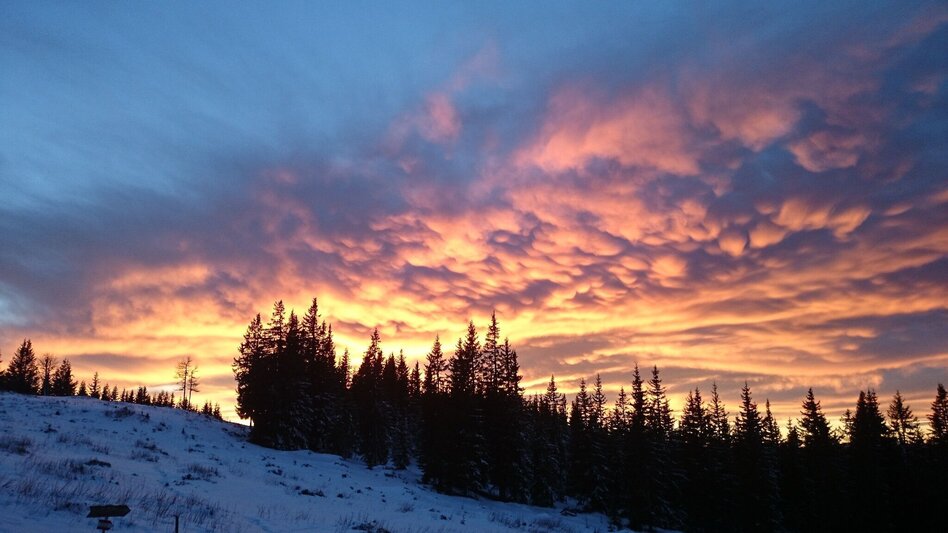 Hiking route Herzlfresser - Almgasthaus Pölzl - Troiseck (Kindberg hiking trail no. 5) - Touren-Impression #2.3 | © TV Hochsteiermark