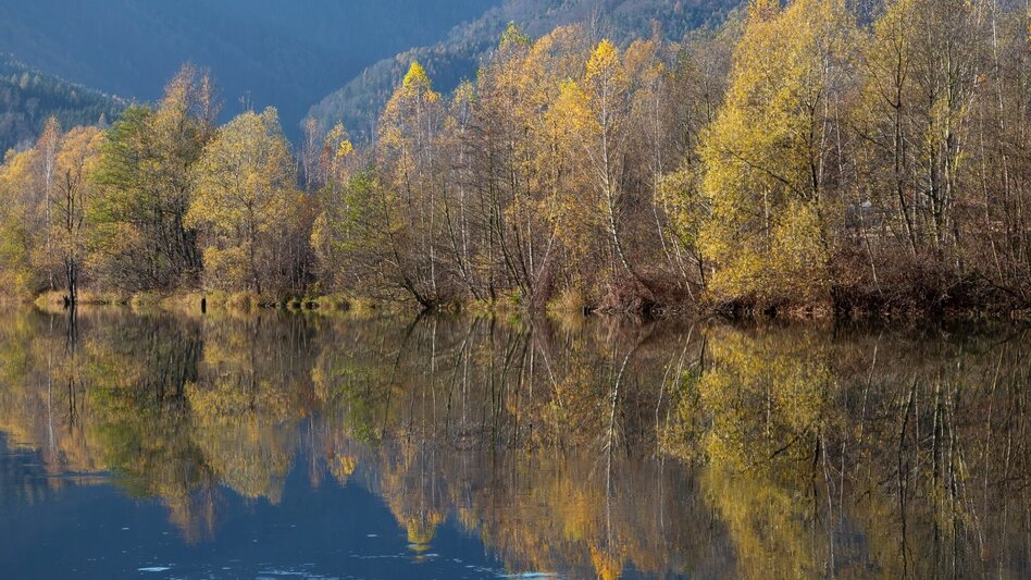 Radfahren Genuss- & Kultur Radrundtour - Touren-Impression #2.1 | © Region Graz