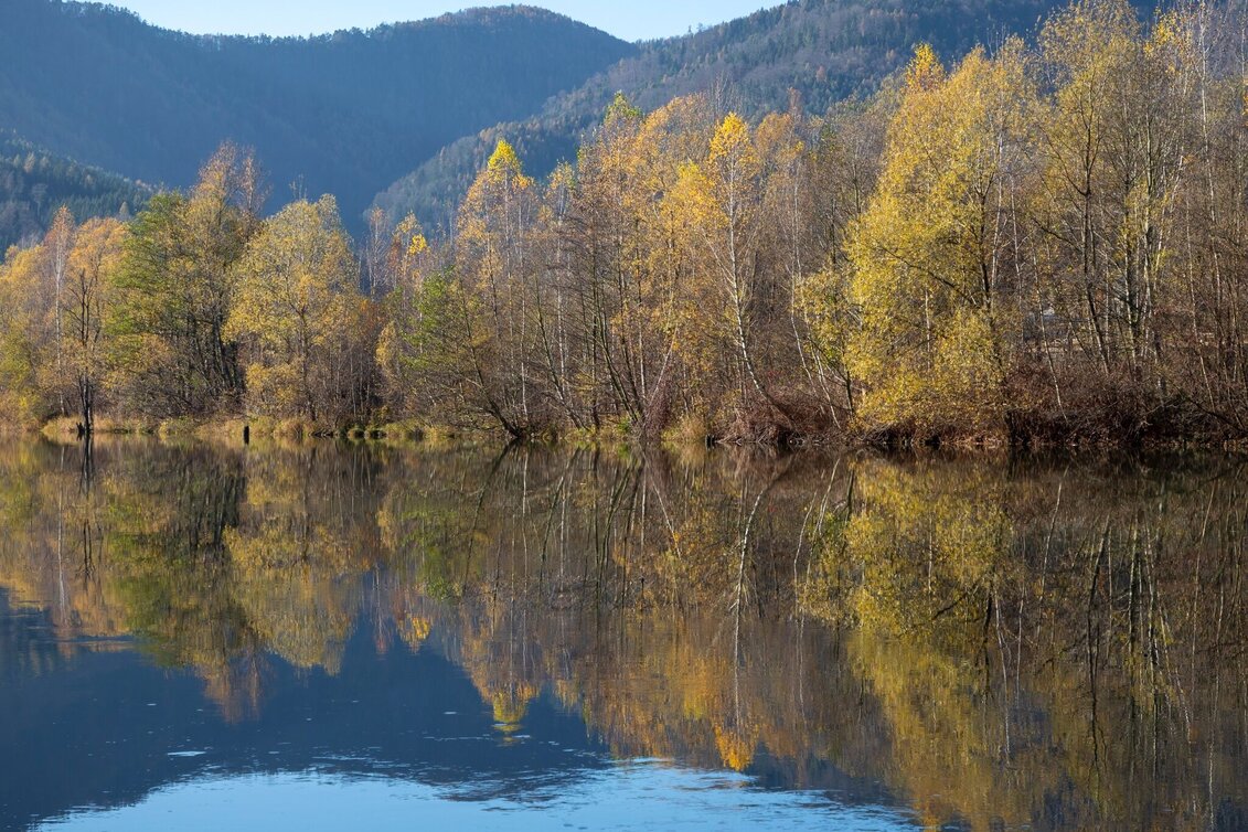 Radfahren Genuss- & Kultur Radrundtour - Touren-Impression #1 | © Region Graz