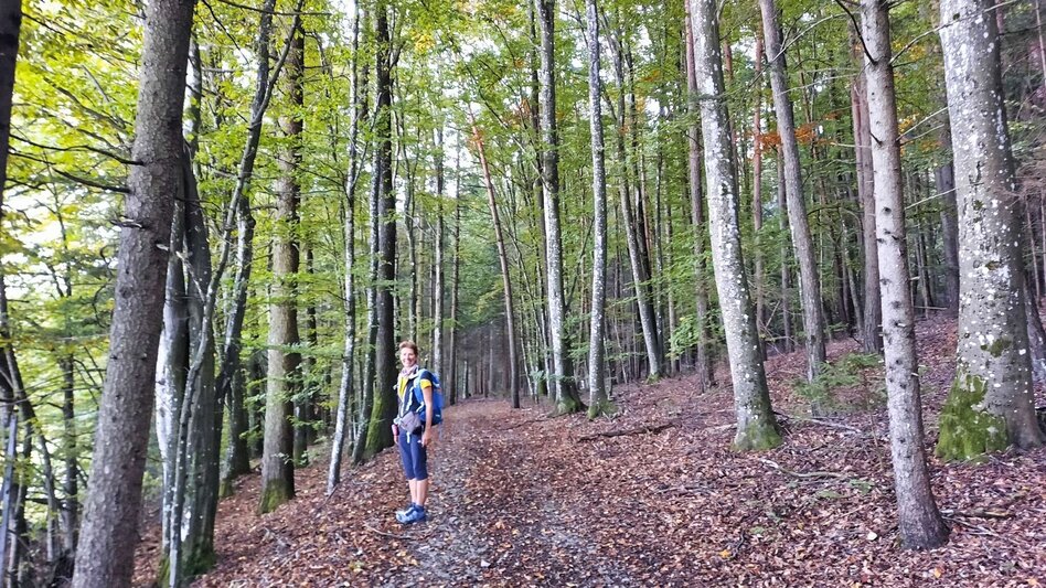 Hiking route Nature & culture experience trail "Thinking about the future' (Zukunft spazierendenken) - Touren-Impression #2.8 | © Thermen- & Vulkanland