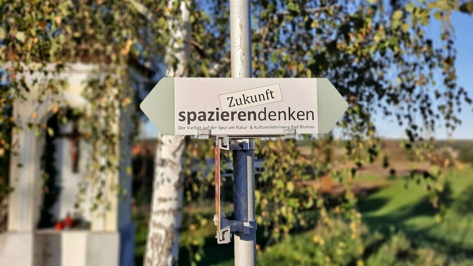 Hiking route Nature & culture experience trail "Thinking about the future' (Zukunft spazierendenken) - Touren-Impression #2.15 | © Thermen- & Vulkanland