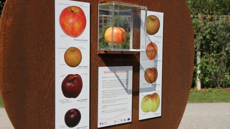 Hiking route Nature & culture experience trail "Thinking about the future' (Zukunft spazierendenken) - Touren-Impression #2.4 | © Kurkommission Bad Blumau