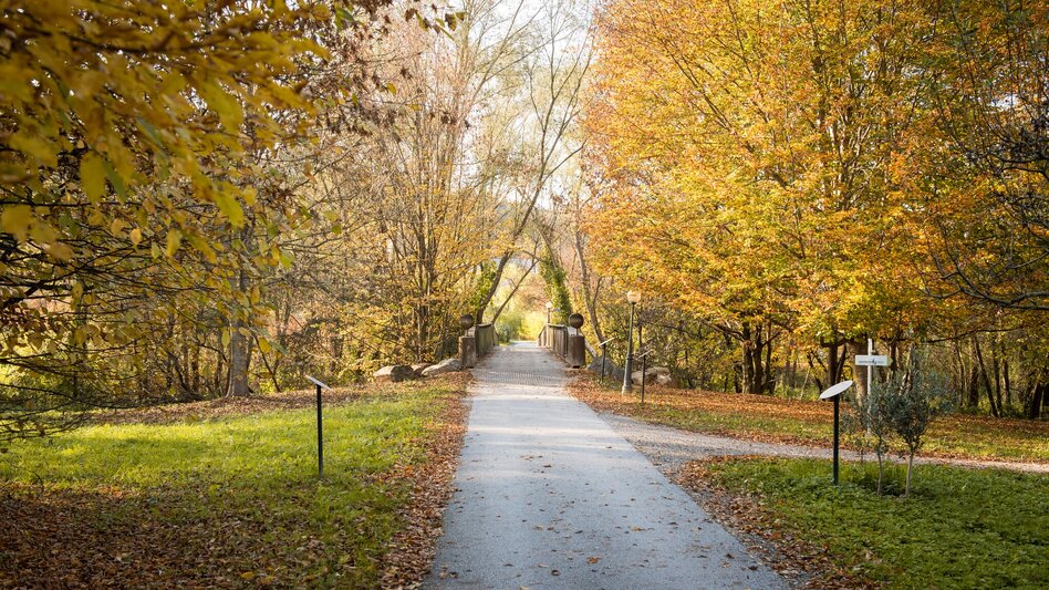 Hiking route Nature & culture experience trail "Thinking about the future' (Zukunft spazierendenken) - Touren-Impression #2.1 | © Kurkommission Bad Blumau