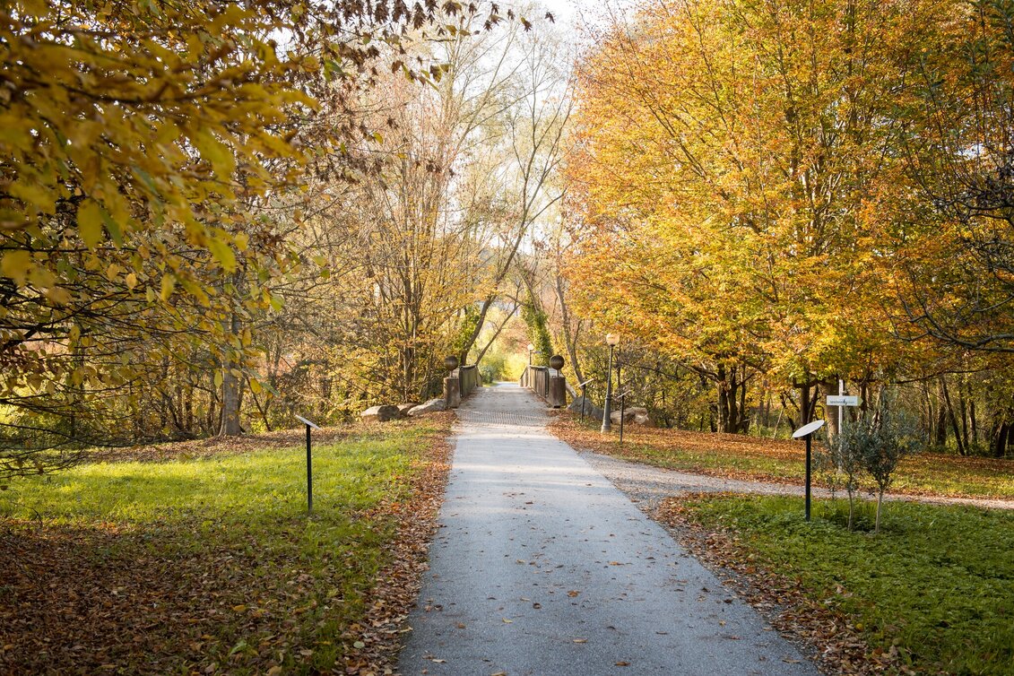 Hiking route Nature & culture experience trail "Thinking about the future' (Zukunft spazierendenken) - Touren-Impression #1 | © Kurkommission Bad Blumau