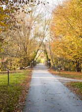 Zukunft spazierendenken - im Herbst | © Kurkommission Bad Blumau | Jennifer Rath | © Kurkommission Bad Blumau