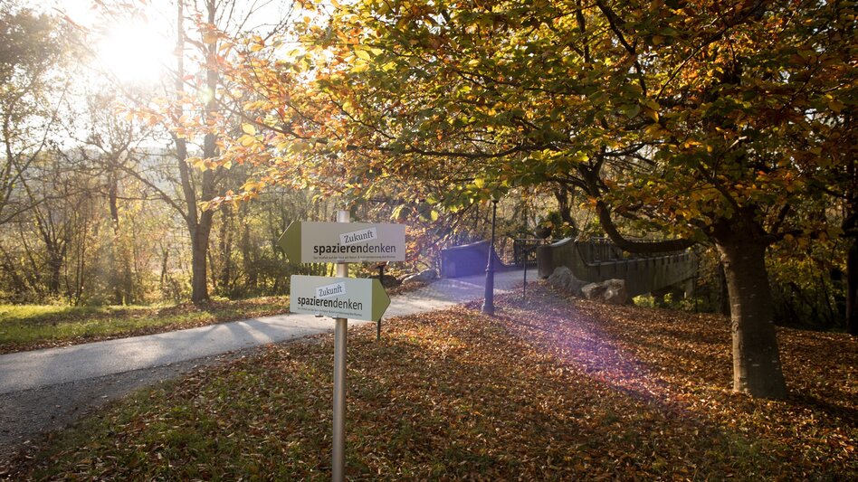 Hiking route Nature & culture experience trail "Thinking about the future' (Zukunft spazierendenken) - Touren-Impression #2.2 | © Kurkommission Bad Blumau