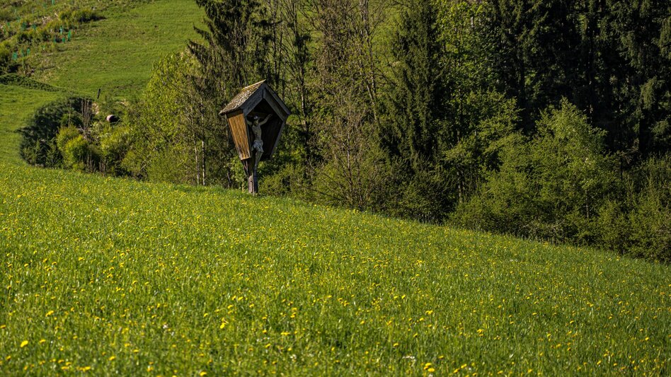 Hiking route Markt Haus - Ruperting - Markt Haus - Touren-Impression #2.3 | © Gerhard Pilz