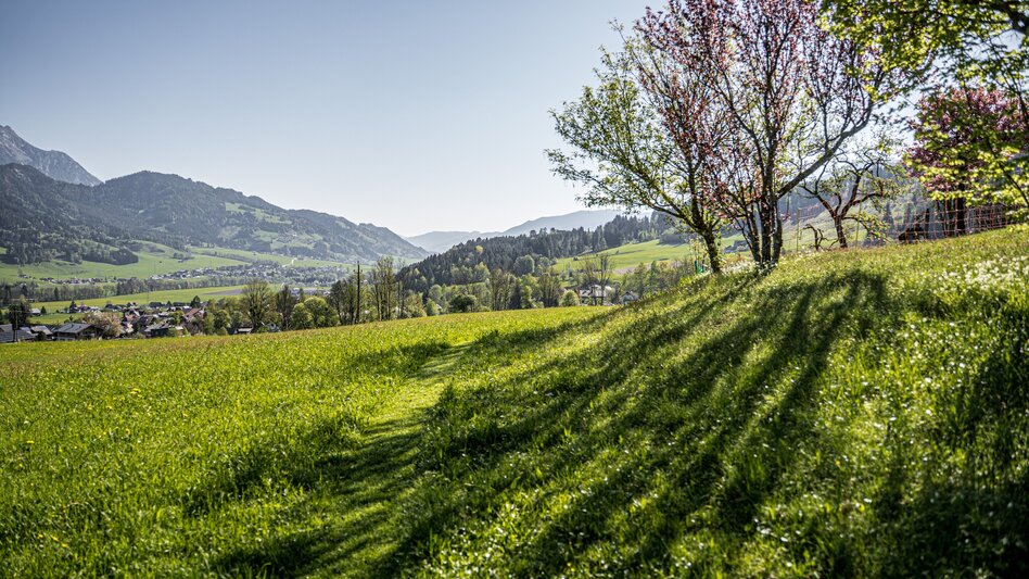 Hiking route Markt Haus - Ruperting - Markt Haus - Touren-Impression #2.4 | © Gerhard Pilz